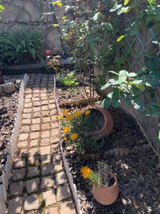 Terraza Con Encanto A Un Paso De La Playa Apartamento Tarragona